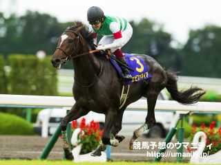 【２歳新馬】東京５Ｒ　シャンドゥレールが快勝　Ｍ・デムーロ騎手「めちゃめちゃ強かった」