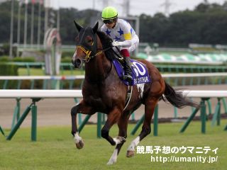 ３０日栗東で高松宮記念Ｖビッグアーサーの半妹など２０頭の２歳馬がゲート合格