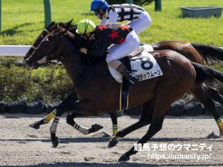 １８年京都金杯Ｖのブラックムーンが高知競馬に移籍