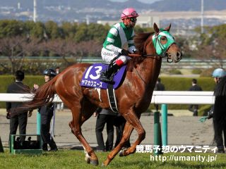 １４日美浦でヤマカツエースの半弟など２５頭の２歳馬がゲート合格