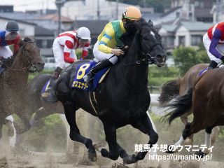 【今日の注目新馬】阪神４Ｒ　サクセスアイは兄に重賞６勝馬がいる期待馬
