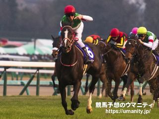 ９日函館競馬場で５頭の２歳馬がゲート合格