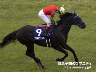 【今日の注目新馬】阪神５Ｒ　オークス馬の全弟マイネルエンペラーが出陣
