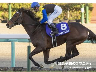 【阪神大賞典】一昨年の覇者ユーキャンスマイルは５着　藤岡佑「勝ち馬の後ろをキープできました」