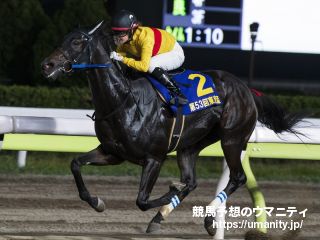 藤田菜七子が女性騎手初のＪＲＡ＋地方交流通算１００勝を達成！
