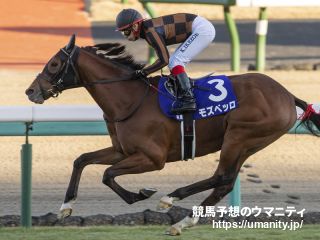 １０日美浦で１３頭の２歳馬がゲート合格