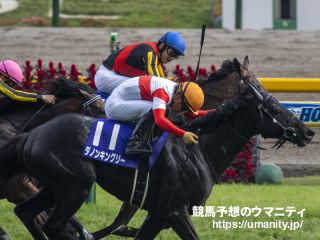 ２３日美浦でダノンキングリーの半妹など２７頭の２歳馬がゲート合格