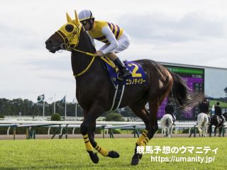 【２歳新馬】新潟５Ｒ　ニシノリースが初陣を飾る