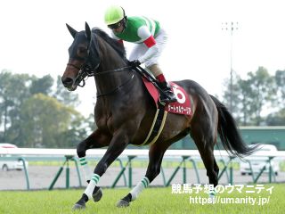 【ＰＯＧ調査隊】新種牡馬サートゥルナーリア産駒のコートアリシアンは６月８日東京で初陣　