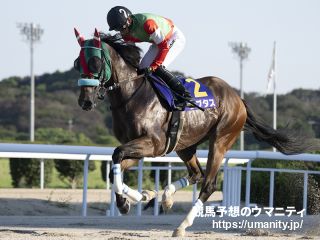 【京阪杯】河原田菜々騎手がラプタスでJRA重賞に初騎乗して18着「パドックでの声援も大きかった」