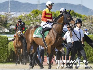 【平安Ｓ】昨年２着のハギノアレグリアスは７着　岩田望来騎手「直線へ向くまでにさばき切れなかった」