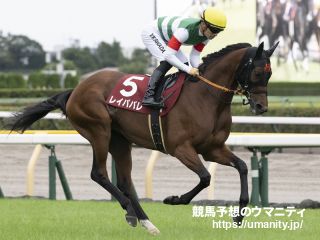 １８日美浦で１９頭の２歳馬がゲート合格