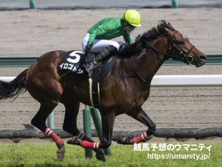 【ひまわり賞】ヒノクニがデビュー４戦目で初勝利