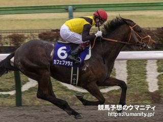 世界ランク発表！日本馬はカフェファラオら３頭が１５位タイ