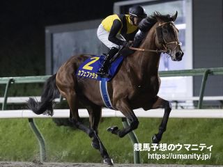 ４日美浦でカフェファラオの全弟など２５頭の２歳馬がゲート合格