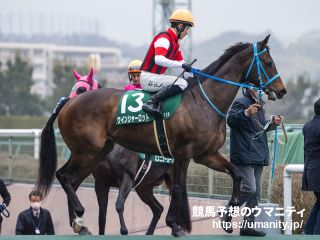 【阪神牝馬Ｓ】逃げたウインシャーロットは最後力尽き４着　石川裕紀人騎手「押し出される形でハナになりました」