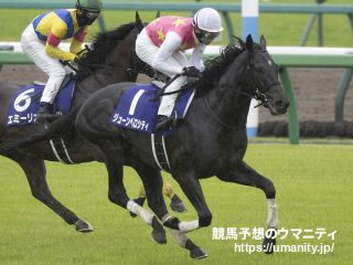 【阪神ジャンプ】ジューンベロシティが２馬身差の完勝で重賞連勝！