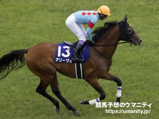 【ＰＯＧ調査隊】大型馬ターコイズフリンジは気持ち前向き　１６日の中山芝二千でデビュー