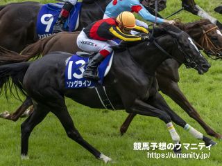 【ヴィクトリア】２週前追い　ソングラインが戸崎圭太騎手と初コンタクト「さすがGⅠ馬の迫力」と絶賛
