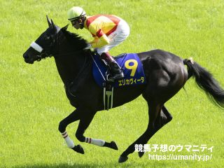 【秋華賞】美浦１週前追い　エリカヴィータは僚馬と併入、福永騎手「上手に走っていた」