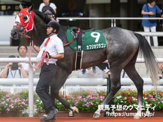 ３１日美浦でカフジオクタゴンの半弟など４５頭の２歳馬がゲート合格