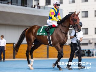 【アルゼンチン共和国杯2024】レーティングとモノサシで考える　成長度と数値平均でサヴォーナを指名