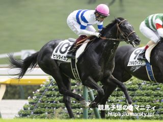 【青葉賞】デビュー２戦目のヒシタイカンは１２着　Ｍ・デムーロ騎手「いい馬ですし、これからに期待したいです」