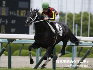 【札幌２歳Ｓ】ギャンブルルームはタフな馬場で瞬発力発揮できず３着　松山弘平騎手「まだこれから良くなる馬ですよ」