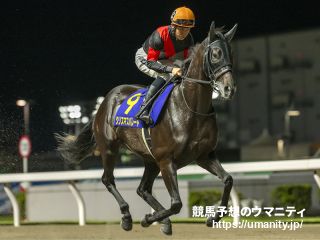 【秋華賞2024】勝ち馬予想の金言録「秋華賞は紫苑ステークス組を狙え」