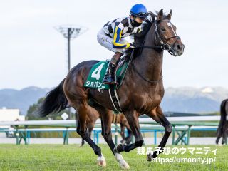 【ホープフルＳ2024】伊吹雅也のピックアップ競馬データ～特選重賞データ分析編