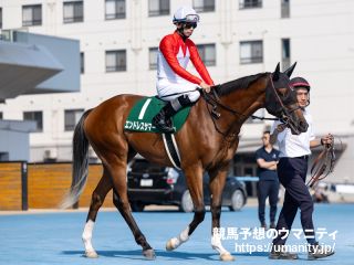 【小倉２歳Ｓ2024】有名人の予想に乗ろう！　大久保先生ほか多数！競馬通の芸能人・著名人が真剣ジャッジ！