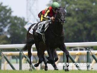 【東京スポーツ杯２歳Ｓ2024】出走予定馬最速チェック　新馬戦好パフォーマンスのクロワデュノールなど登場へ