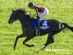 2022プリンスオブウェールズS　日本馬の近況（6月14日（火曜））
