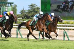 【関屋記念2024ほか】伊吹雅也のピックアップ競馬データ～メイン「1点」分析編