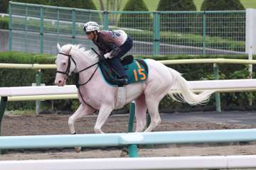 【今週の注目新馬】ソダシのいとこブランシールが出陣　北村宏司騎手も納得の仕上がり