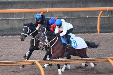 【有馬記念　1週前追い切り】ディープボンド3頭併せで一杯に追われる　幸英明騎手「状態は良さそうです」