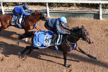 【日経新春杯】ヴェルトライゼンデ冷気も吹き飛ぶ熱い走り　イーガン騎手「走る馬という印象」