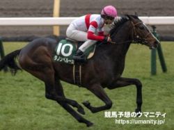 【Ｕ指数的分析の結論！】ジャパンＣ2022　今年もU指数、人気ともに上位の日本馬が馬券の中心！