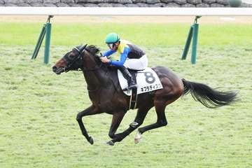 【若駒ピカイチ】リスグラシューの半弟ネブラディスク　初陣は3馬身差の完勝