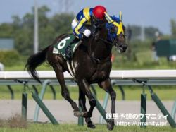 【中京記念2024ほか】伊吹雅也のピックアップ競馬データ～メイン「1点」分析編