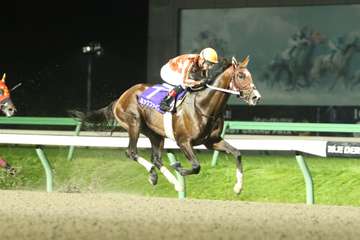 南関東の無敗３冠馬ミックファイアは東京大賞典へ　チャンピオンズＣは回避