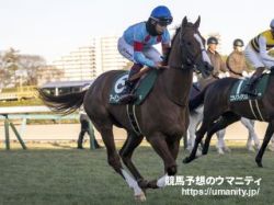【日本ダービー2024】血統アナリシス　ウインドインハーヘア内包馬が上位争い、近年はSeattle Slewの血脈も存在感を示す