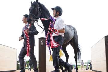 天皇賞・秋で２着のジャスティンパレスが有馬記念に参戦　鞍上は未定