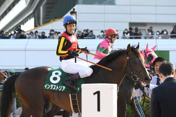 【ダービーＣＴ】インダストリア重賞初Ｖ　戸崎圭太騎手「馬を信じた」