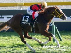 【香港カップ】日本馬2騎を上位に評価！世界各国競馬記者4名の直前予想