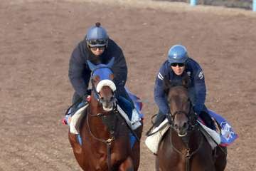 【中日新聞杯】キングズパレスは重賞初制覇へ1馬身先着　戸田師「ピリッとして気持ちが前向きに」