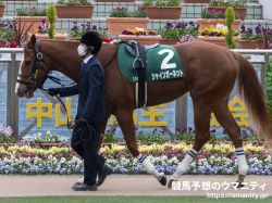 【重賞データ分析】京都牝馬ステークス2021　イベリス、シャインガーネットの2頭が減点なし