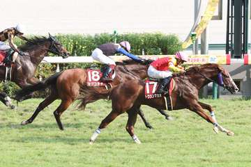 【産経賞セントウルS】秋の電撃王へGO！　トウシンマカオ、鮮やかに差し切り重賞4勝目　菅原明騎手「さらに上積みある」