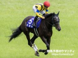 【Ｕ指数的分析の結論！】阪神牝馬S2022　抜けた指数をマークした昨年の1、2着馬が今年も中心的存在！