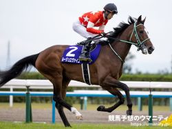 【血統アナリシス】京都記念2024　欧州血脈の持久力が活きやすく、トニービン内包馬が人気不問で上位を賑わす